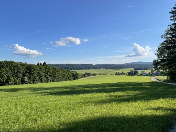 Nyugodt nyaralás vállalkozóként. Pihenés